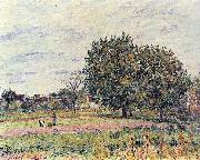 Alfred Sisley Nussbaume bei untergehender Sonne, Anfang Oktober oil